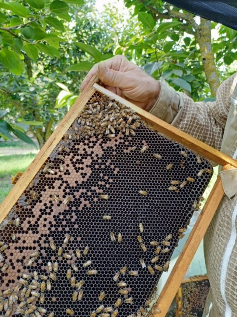Bee the Change