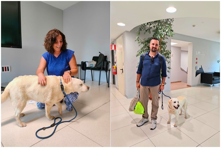 Lancio Pet Policy