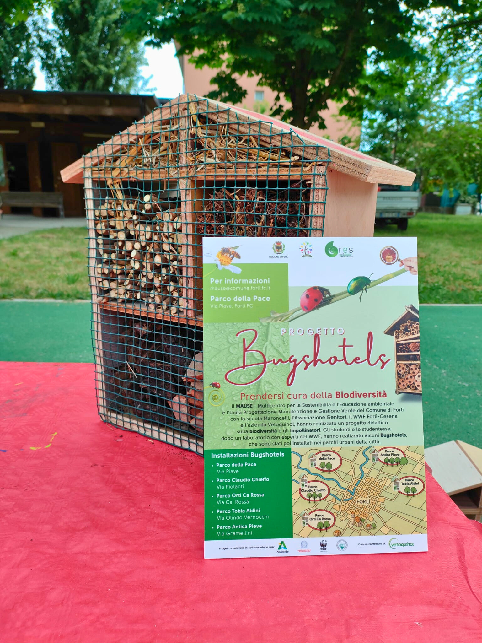 Bug's Hotel