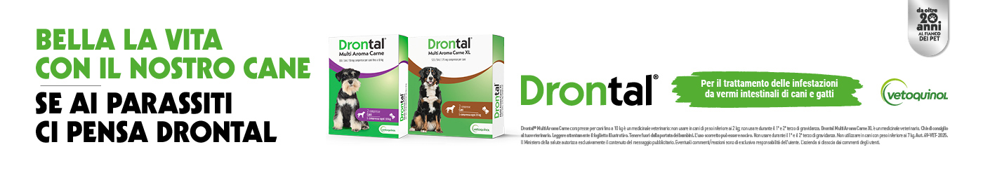 Drontal