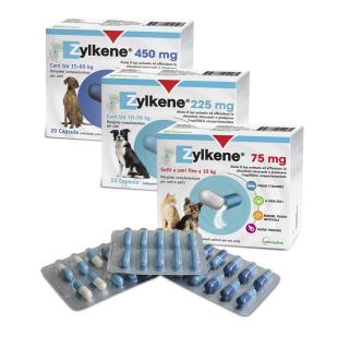 ZYLKENE gruppo.jpg Zylkene