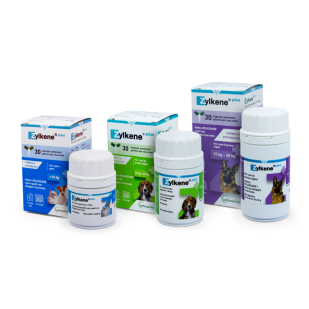 Zylkene plus